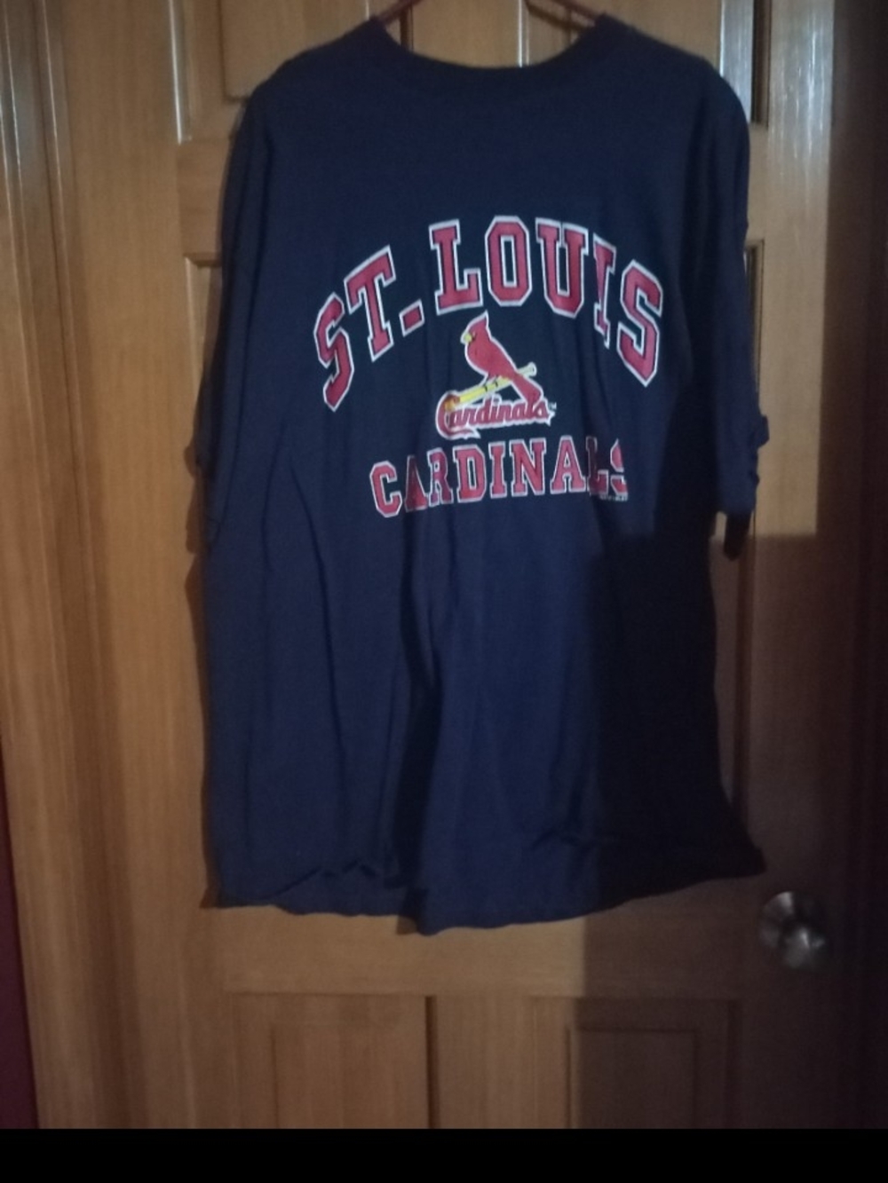 St. Louis Cardinals Navy Graphic Short-Sleeve Tee